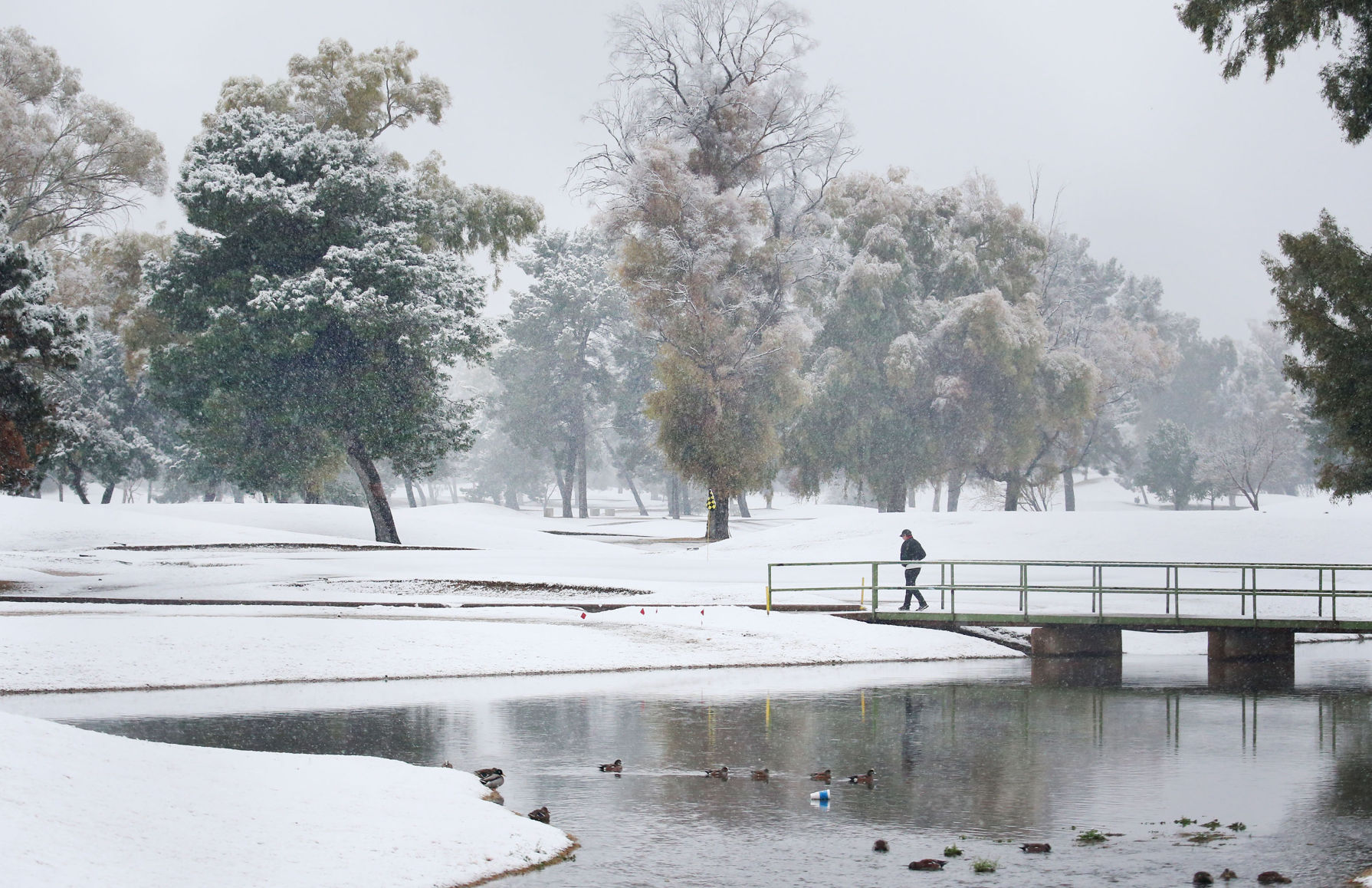 Snow across Tucson